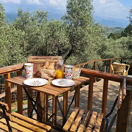 Casa Novena Glamping Tra Gli Uliveti *