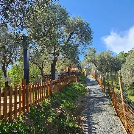 Casa Novena Glamping Tra Gli Uliveti *