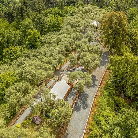 Casa Novena Glamping Tra Gli Uliveti *